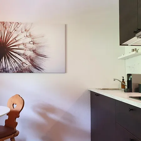 公寓 Alpenflair Mit Balkon - Inkl Parkplatz #1 因斯布鲁克